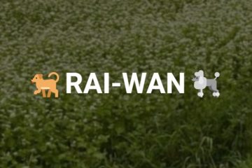RAI-WAN2