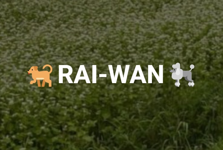 RAI-WAN2